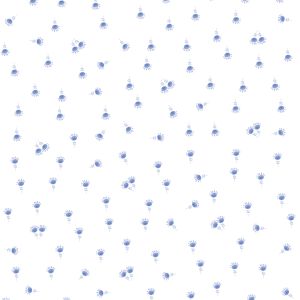 rotate image